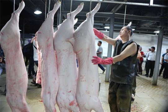 Dịch tả lợn Châu Phi diễn biến phức tạp: TP HCM khuyến khích DN cấp đông thịt lợn