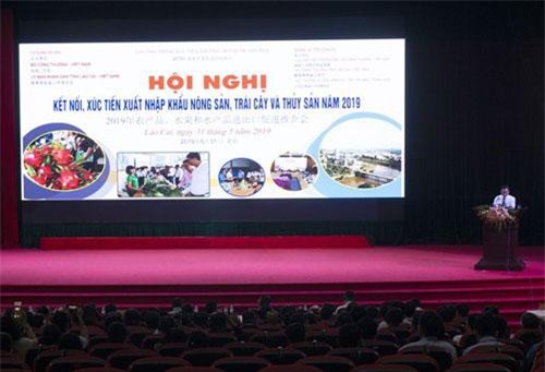 Hơn 200 doanh nghiệp nông thủy sản bàn kế vào Trung Quốc