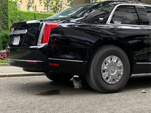 "Nhân vật quyền lực” thoải mái tiếp cận siêu xe "quái thú" của ông Trump tại Anh