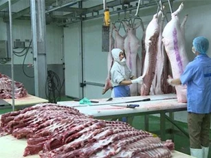 Bộ Công thương cảnh báo thiếu nguồn cung thịt lợn dịp cuối năm