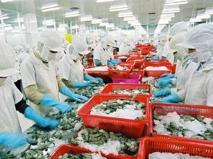 Xuất khẩu thủy sản 5 tháng năm 2019 giảm cả về lượng lẫn giá trị