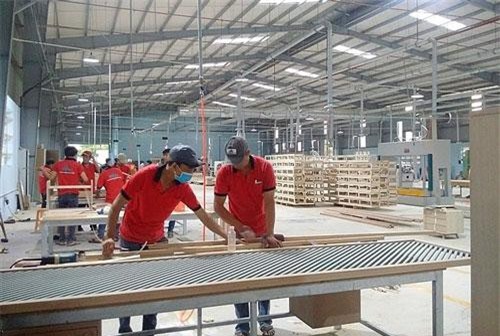 Xuất khẩu lâm sản 5 tháng đầu năm tăng gần 20%