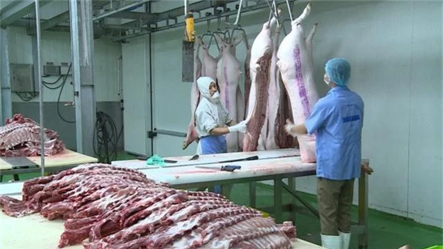 Bộ Công thương cảnh báo thiếu nguồn cung thịt lợn dịp cuối năm - Ảnh 1. Bộ Công thương cảnh báo thiếu nguồn cung thịt lợn dịp cuối năm - Ảnh 1.