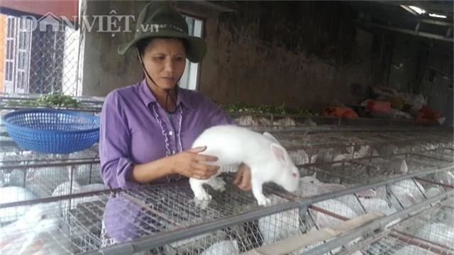 lam giau o nong thon: nuoi 2.000 "cuc bong" di dong, lai 20 trieu/thang hinh anh 4