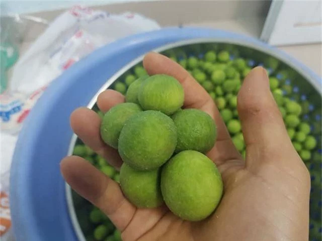 Sấu mất mùa mà ngày vẫn bán 2 tạ, thu về hơn 5 triệu đồng - 4 Sấu mất mùa mà ngày vẫn bán 2 tạ, thu về hơn 5 triệu đồng - 4