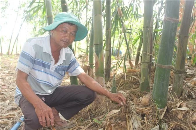 trong tre dien truc khi ra mang non, ngay nao cung ban thu kha tien hinh anh 1