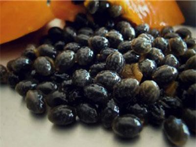 Hạt đu đủ có tác dụng chữa bệnh không ngờ