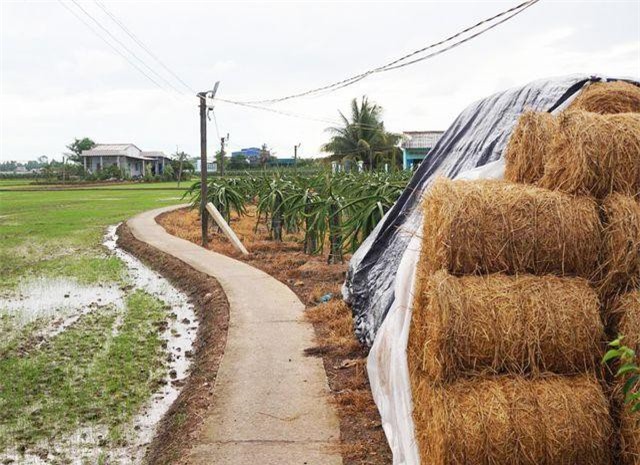 Long An: Giả danh nhân viên ngành điện bán dây điện rởm