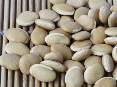 Công dụng bất ngờ của đậu ván trắng