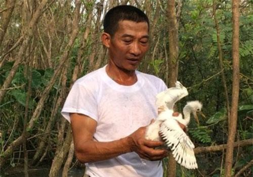 Ninh Bình: Bị cho là "khùng" khi bỏ tiền trồng cây như rừng dụ cò về làm tổ