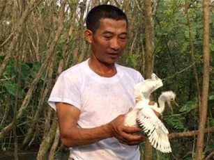 Ninh Bình: Bị cho là "khùng" khi bỏ tiền trồng cây như rừng dụ cò về làm tổ