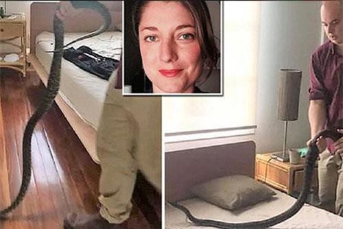 Hãi hùng cô gái mở mắt thấy trăn thè lưỡi ngay cạnh