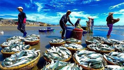 Xuất khẩu thuỷ sản sẽ khởi sắc hơn vào những tháng cuối năm