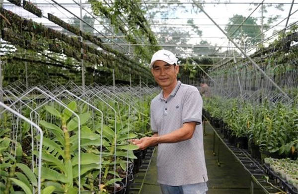 lac vao trang trai phong lan tien ty giua vung ca phe lam dong hinh anh 1