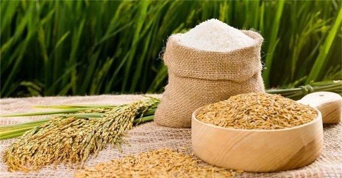 Dự báo giá lúa gạo trong nước có thể giảm trong tháng tới do thu hoạch vụ Hè Thu khiến nguồn cung gia tăng. (Ảnh minh họa)