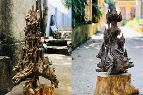 Lặn lội hơn 20 năm, đại gia Hà thành tốn hàng "đống" tiền để có  bộ sưu tập từ gỗ trầm lũa