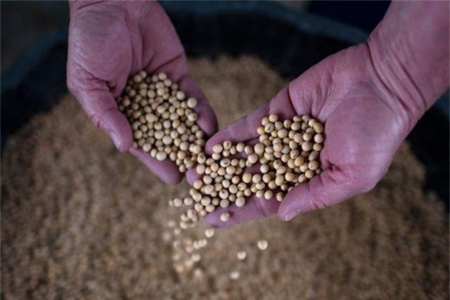 Trung Quốc và Nga cùng hợp tác chống lại áp lực từ Mỹ