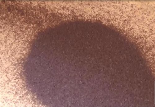 CLIP: Người dân Phú Yên mất ăn, mất ngủ vì côn trùng lạ có mùi hôi tanh tấn công