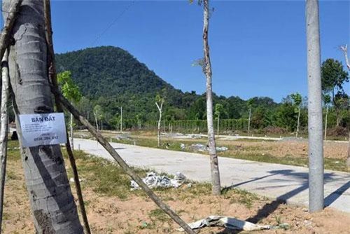 Bộ Kế hoạch: Cần cấm người Việt đứng tên hộ người Trung Quốc mua đất đai