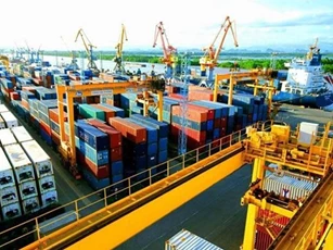 CPTPP: Xây dựng Nghị định quy định xác minh xuất xứ đối với hàng hóa nhập khẩu