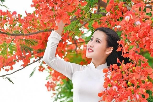 Cô gái xinh đẹp thả hồn trên con đường hoa phượng đỏ Hải Phòng - 14