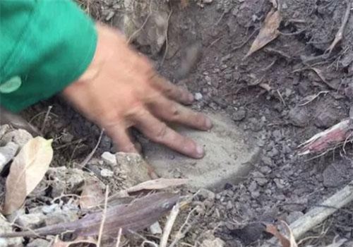 Sở Y tế Cà Mau trả lời thế nào về quy trình xử lý thi thể thai nhi?