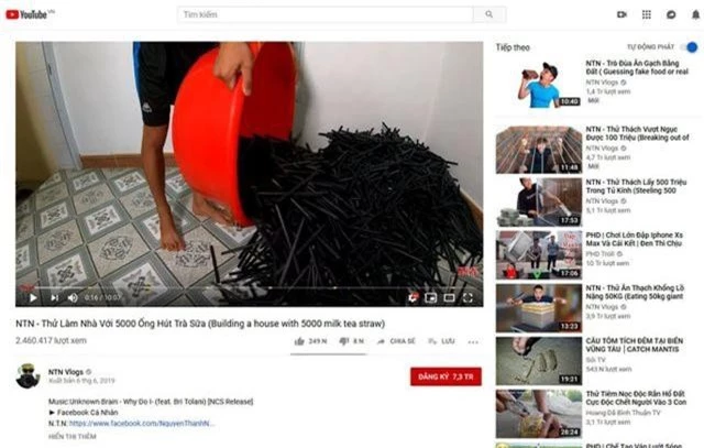 Youtuber Việt gây tranh cãi vì xây nhà bằng 5.000 ống hút nhựa - 3