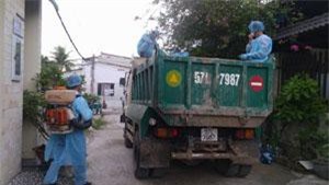 TP. Hồ Chí Minh: Phát hiện dịch tả heo Châu Phi đầu tiên