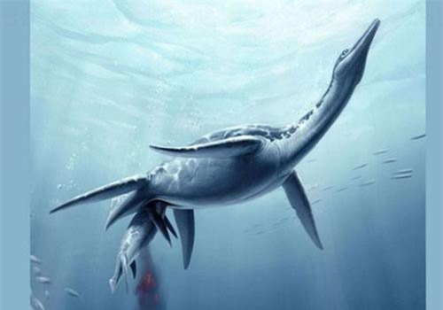 Phát hiện hóa thạch khủng long giống quái vật hồ Loch Ness ngoài đời thực