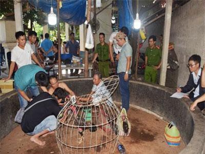 Thừa Thiên Huế: Đánh sập sới gà cá độ lớn tại vùng quê
