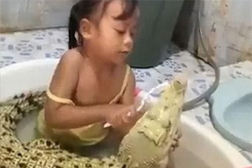 Bé gái tắm chung cá sấu đầy tình cảm gây choáng váng