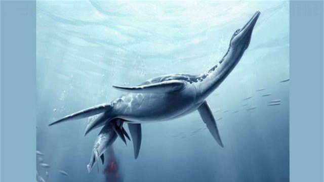 Phát hiện hóa thạch khủng long giống quái vật hồ Loch Ness ngoài đời thực - 1