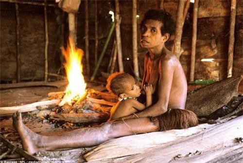 Kinh ngạc bộ tộc ăn thịt người, sống trên cây