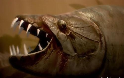 CLIP: "Kinh hoàng" loài cá nhỏ bé ăn thịt cả cá sấu 