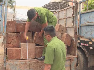 Đắk Lắk: Truy tìm tài xế lái xe chở gỗ lậu tông vào công an rồi bỏ trốn
