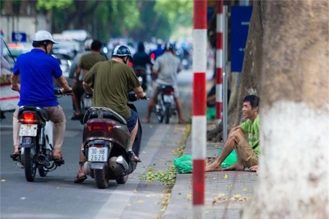 “Người nhện” đu mình trên cây hái sấu non, kiếm bạc triệu ngày - 10