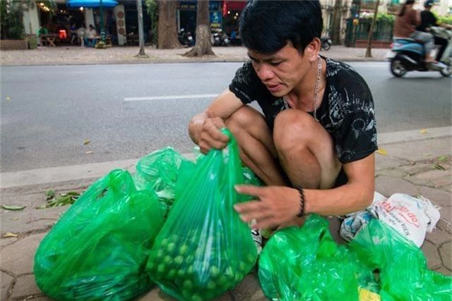 “Người nhện” đu mình trên cây hái sấu non, kiếm bạc triệu ngày - 6