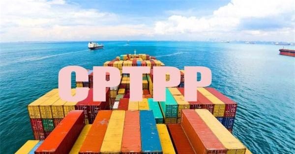 Thực hiện các cam kết Hiệp định CPTPP trong lĩnh vực hải quan
