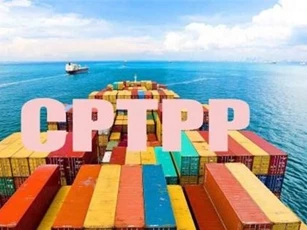 Thực hiện các cam kết Hiệp định CPTPP trong lĩnh vực hải quan