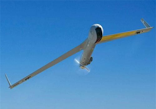 UAV trinh sát Việt Nam mua của Mỹ lợi hại thế nào?