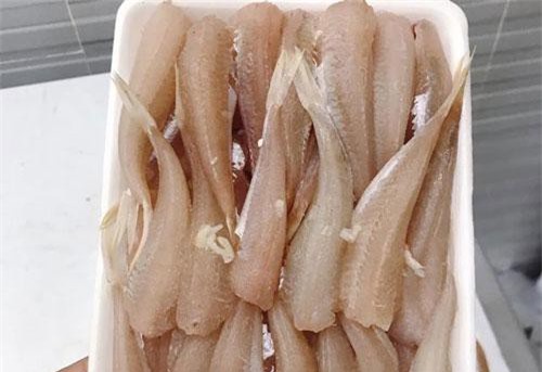 Cá đùi gà thực chất là cá chuồn, không phải cá nóc