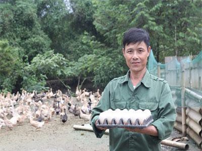 Bắc Kạn: Giám đốc nuôi vịt, bỏ lại cuộc đời hơn 20 năm nghiện ma túy