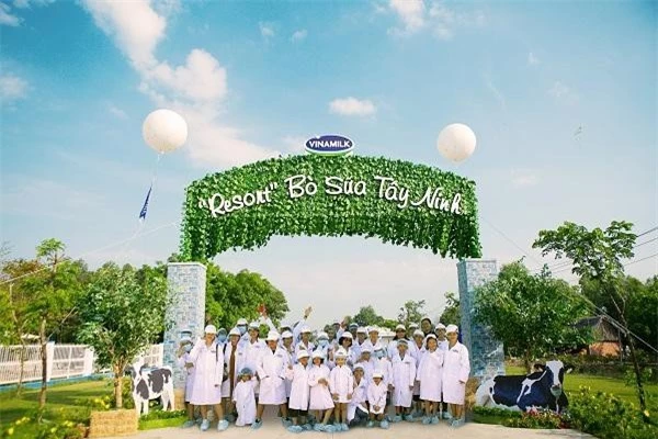 Các gia đình đã có một ngày khám phá Resort Bò sữa Tây Ninh với nhiều trải nghiệm thú vị