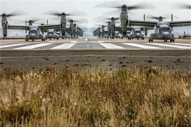 Hơn 40 trực thăng quân sự Mỹ phô diễn uy lực trong tập trận “Voi đi bộ” - 3