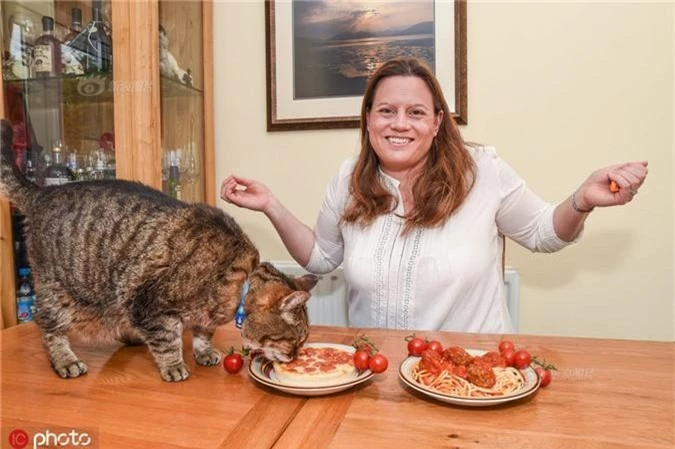 Chú mèo siêu "chảnh" chỉ ăn pizza và mỳ ống
