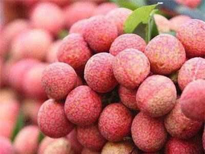 Việt Nam xuất khẩu vải, nhãn đứng nhì thế giới