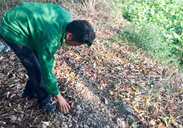 Vụ 300 xác thai nhi: Cơ quan thuộc Bộ Y tế vào cuộc