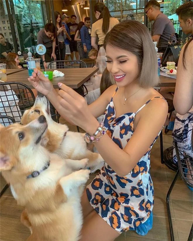 Siêu cấp dễ thương: Quán cà phê chó corgi nổi tiếng nhất Bangkok khiến dân tình phát sốt, con nào con nấy cũng ú nu ú nần - Ảnh 10.