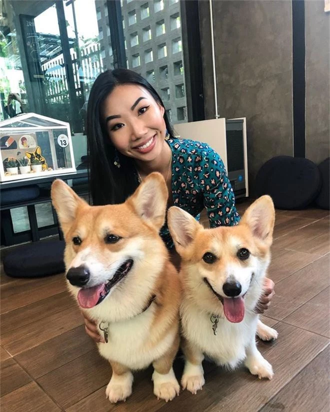 Siêu cấp dễ thương: Quán cà phê chó corgi nổi tiếng nhất Bangkok khiến dân tình phát sốt, con nào con nấy cũng ú nu ú nần - Ảnh 16.