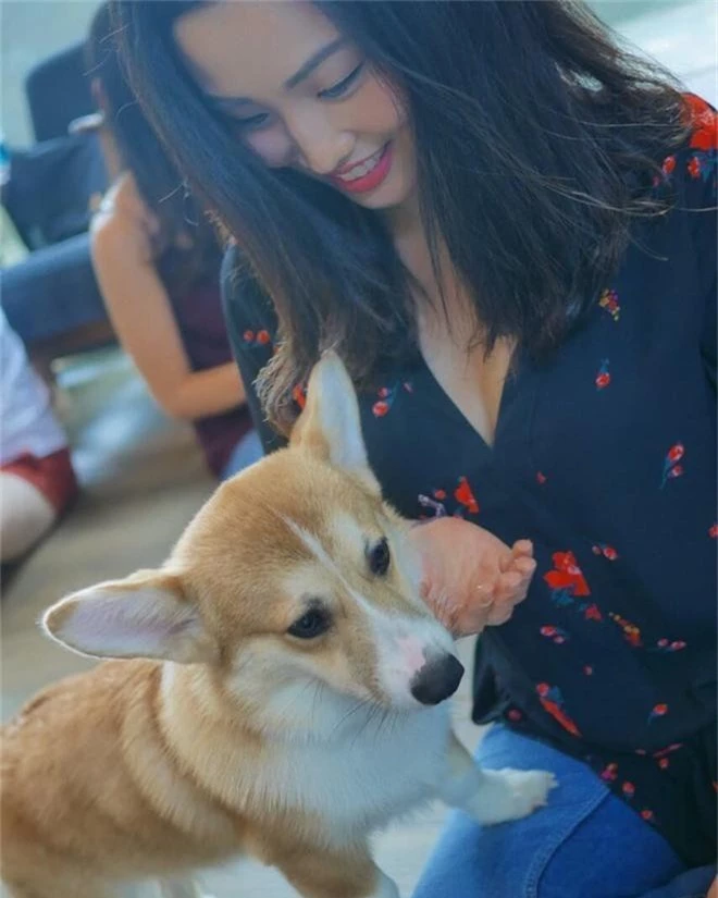 Siêu cấp dễ thương: Quán cà phê chó corgi nổi tiếng nhất Bangkok khiến dân tình phát sốt, con nào con nấy cũng ú nu ú nần - Ảnh 18.